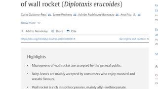 Wonderful World of Edible Plants: False Rocket (White Wall Rocket), Senfrauke, Diplotaxis erucoides