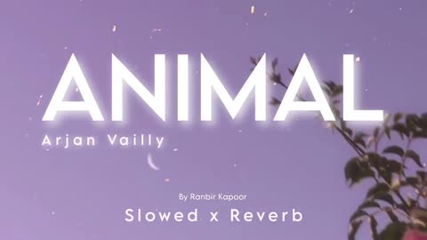 ARJUN VELLY/ANIMAL/RANVEER KAPOOR