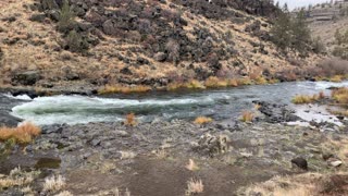 Central Oregon – Steelhead Falls – Admiring Crooked River – 4K