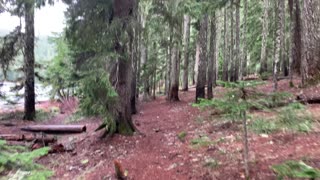 Oregon – Mount Hood National Forest – Lake Perimeter Loop – 4K