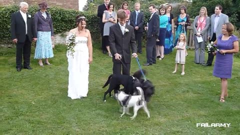 Wedding fails terribly 🤦‍♂️🥲