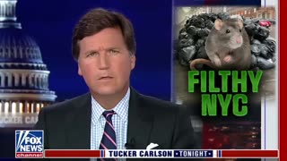 Tucker Carlson Tonight 4-20-2023