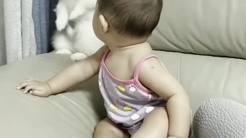 So cute 🥰 dog fun with baby 😍 amazing cute baby