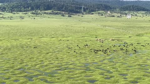 Meanders in Karagöl Plateau filled with water after the recent rainfall