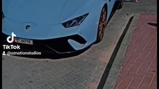 Lamborgini