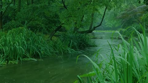 The beautiful little river is raining (7) , sleep, relax, meditate, study, work, ASMR