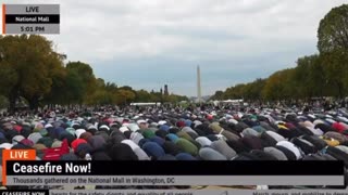 Massive Pro-Palestine Protest at National Mall - What Happened to America?