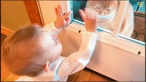Cute Babies Having A Good Time With A Cat