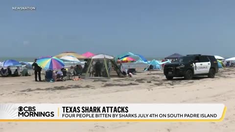 Shark attacks near Texas beach injure 4 people, officials say