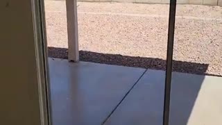How To Replace Wheels On A Sliding Glass Door