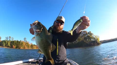 Fall Fishing For Bass Is Easy!! (Here's How We Do It)