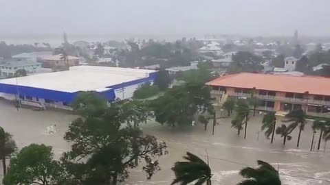 Please Stay Safe, my Florida Patriotos. #HurricaneIan