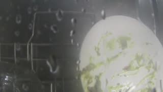 Dishwasher operation - very satisfying to watch