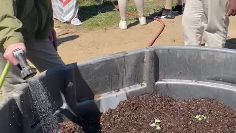 Farmer Daniel Watering the Garden