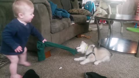 fierce tug of war