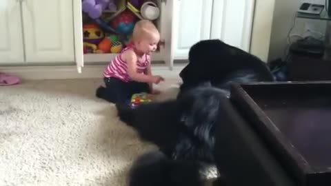 Toddler shows her huge dog her toy stash