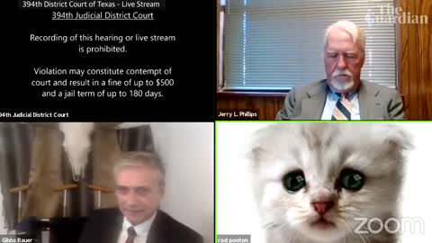 'I’m not a cat': lawyer gets stuck on Zoom kitten filter during court case