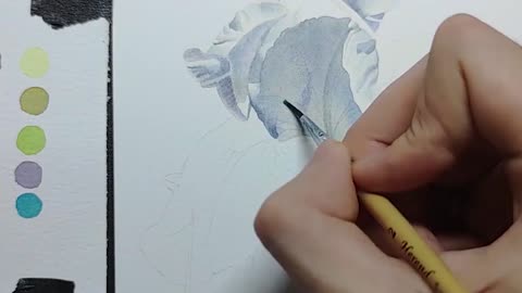 [Watercolor] White Iris in Summer Flower Story System Lesson 5