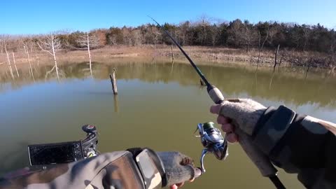 Winter Crappie Fishing | Open Water LIVE SCOPE JIGGING!