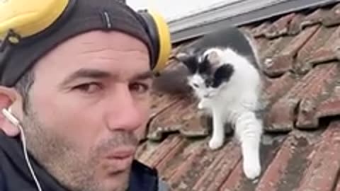 Hilarious Man Mimics cat's Meows perfectly#Cat#Shorts