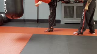 Discussing several kicks and their variations