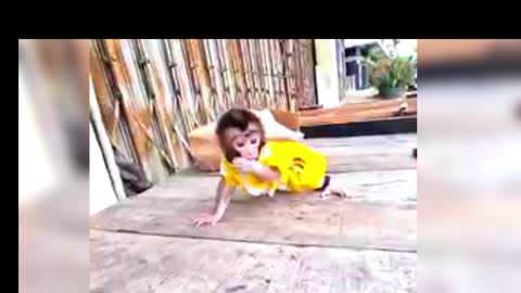 Baby Nina learn how to walk..