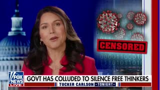Tulsi Gabbard: We need leaders who are serious about finding common sense solutions