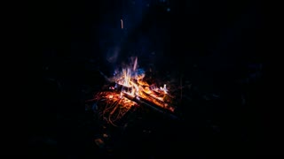 Campfire Ambience with Crackling, Night Animals, Owls & Crickets. Sounds for Relaxation & Deep Sleep