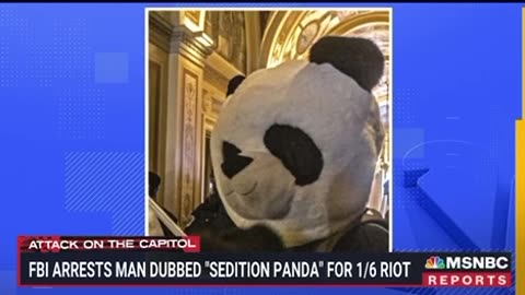 Sedition Panda? | Check Description