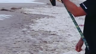 Giant shark missed from New Jersey Shore