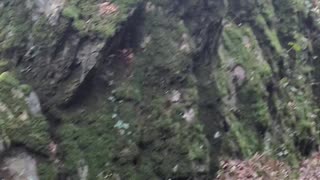 Rock formations in Devil's glen gorge, Wicklow, Ireland