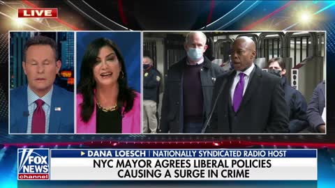 These people are directly responsibly for the surge in crime: Dana Loesch