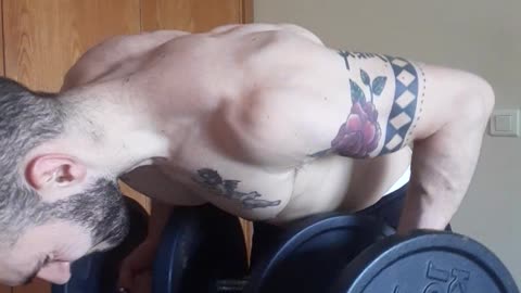 22kg/22kg Inverted Back Row 48.5lbs/48.5lbs