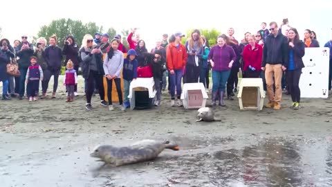 Animals Being Freed For The First Time !6