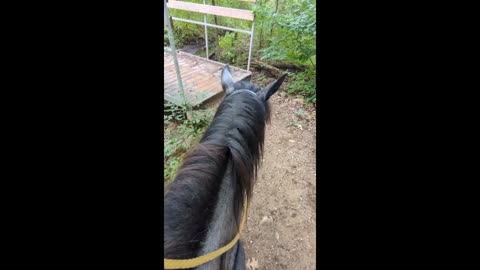 Steele crossing the bridge solo - 2 Aug 2024