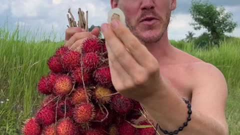 The Hairiest Fruit In The World