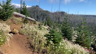 Central Oregon - Mount Jefferson Wilderness - Very Exposed Hiking