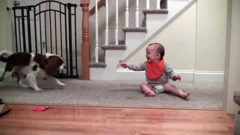 Adorable laughing baby and Cavalier King Charles playing game