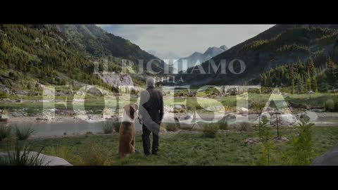 Il Richiamo della Foresta | Trailer Ufficiale HD