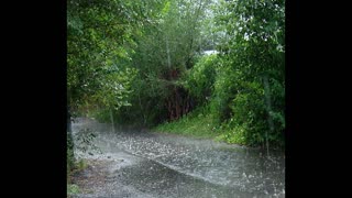 Rainstorm