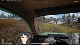 short PUBG stream, Conservative VTuber