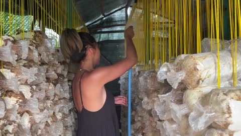 Farm girl in the wild Day 25 hidden mushroom cave