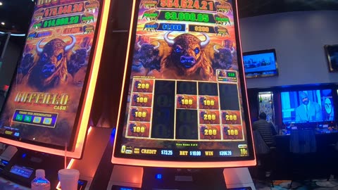 Buffalo Cash Slot Machine Long Video Bonuses Free Games!