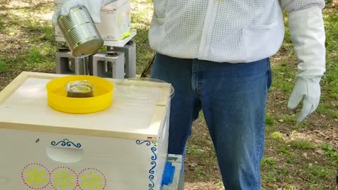 The Santorini Bee Hive, the bees arrive