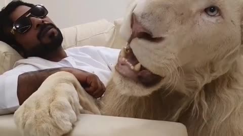 Dubai_King_👑_Sheikh_With_White_Tiger_🐅_White_Lion_🦁