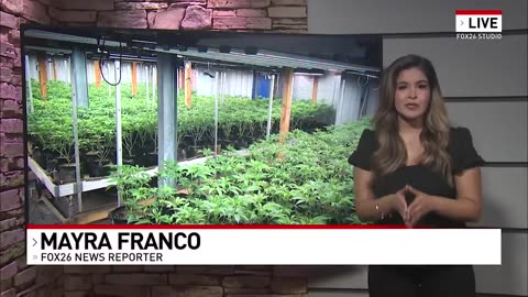 California: Chinese Nationals arrested after massive underground pot farm busted in Kern County.