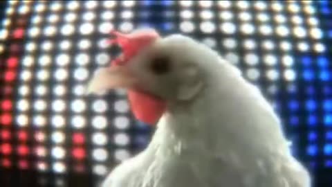 Chicken song