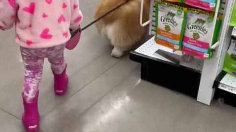 Shopping dog with cute friend