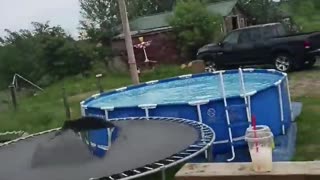 Leap from Rooftop to Trampoline Ends a Bit Short