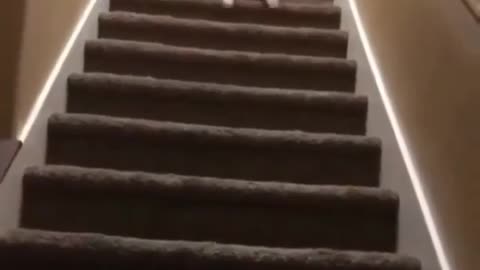 A small baby gets down the stairs in a funny way